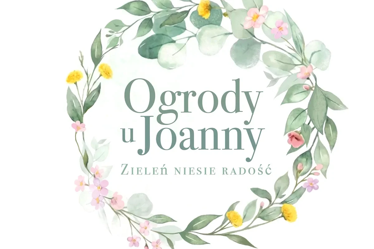 LOGO & IDENTYFIKACJA WIZUALNA - projekt graficzny, zdjęcie 5